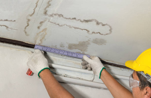 Affordable Water Damage Repair solutions in New Wilmington, PA